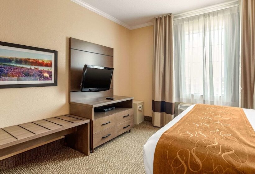 סוויטה, Comfort Suites Baytown I   10