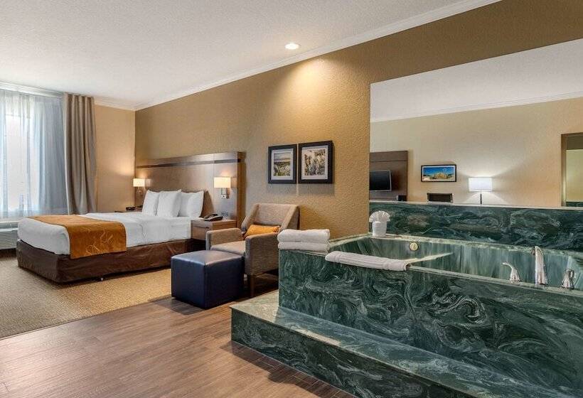 סוויטה, Comfort Suites Baytown I   10