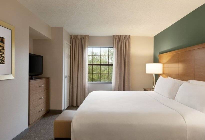 スイート, Staybridge Suites Tampa East  Brandon, An Ihg