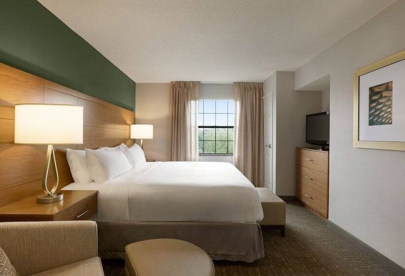 身障者適用スタンダードルーム, Staybridge Suites Tampa East  Brandon, An Ihg