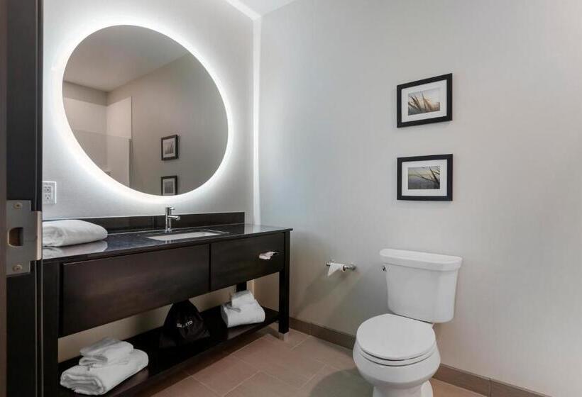 Номер Стандарт, Comfort Inn & Suites Adrian