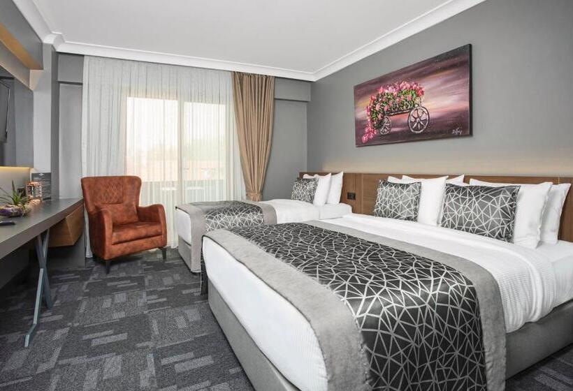 Номер Стандарт с Балконом, Luxon Hotel Sakarya