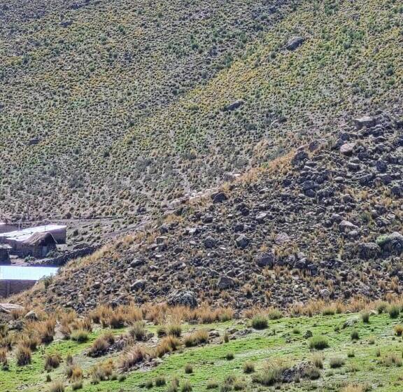 带大床的标准间, The First Real Bed & Breakfast Hiking Hotel  The Office  In Arequipa, Peru