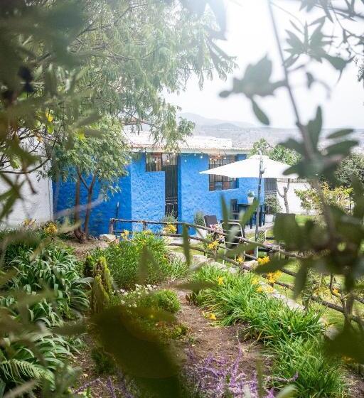 带大床的标准间, The First Real Bed & Breakfast Hiking Hotel  The Office  In Arequipa, Peru