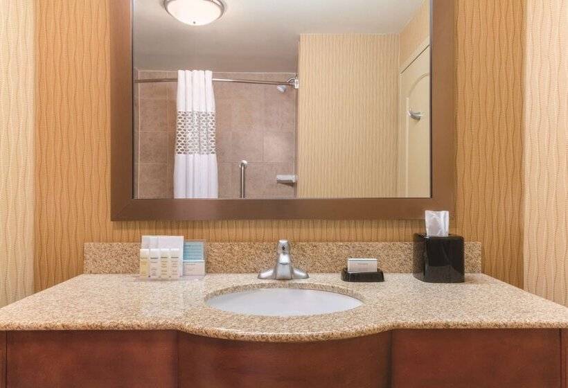 スタンダードルーム, Hampton Inn By Hilton Edmonton/south, Alberta, Canada
