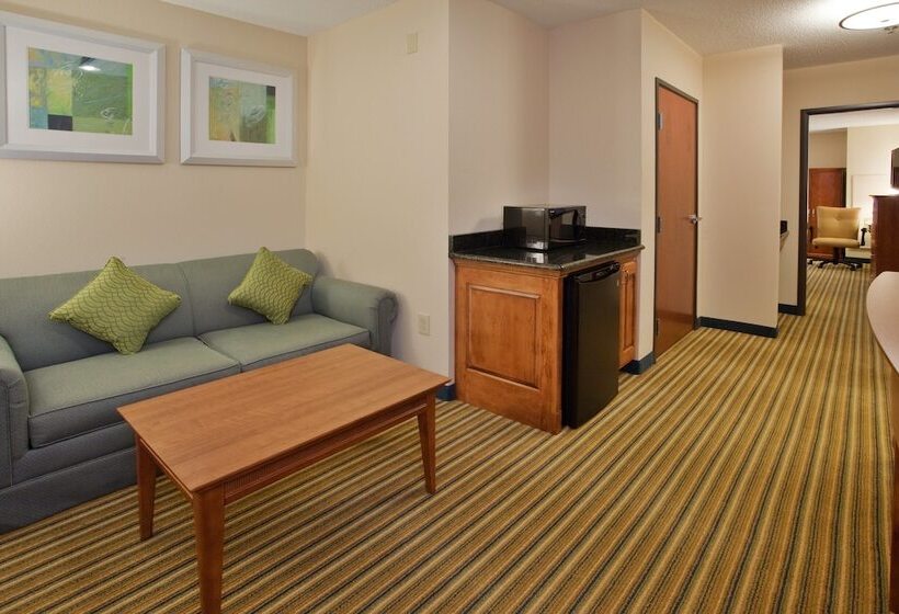 스위트, Holiday Inn Express Hotel & Suites Fredericksburg, An Ihg