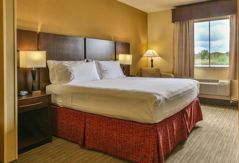 Номер Стандарт, Holiday Inn Express & Suites Houston South   Near Pearland, An Ihg