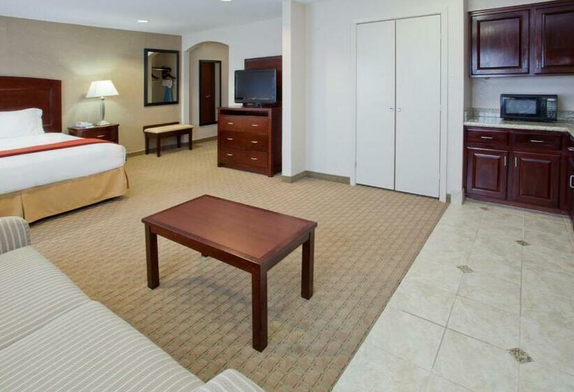 اتاق لوکس با تخت بزرگ, Holiday Inn Express & Suites College Station, An Ihg