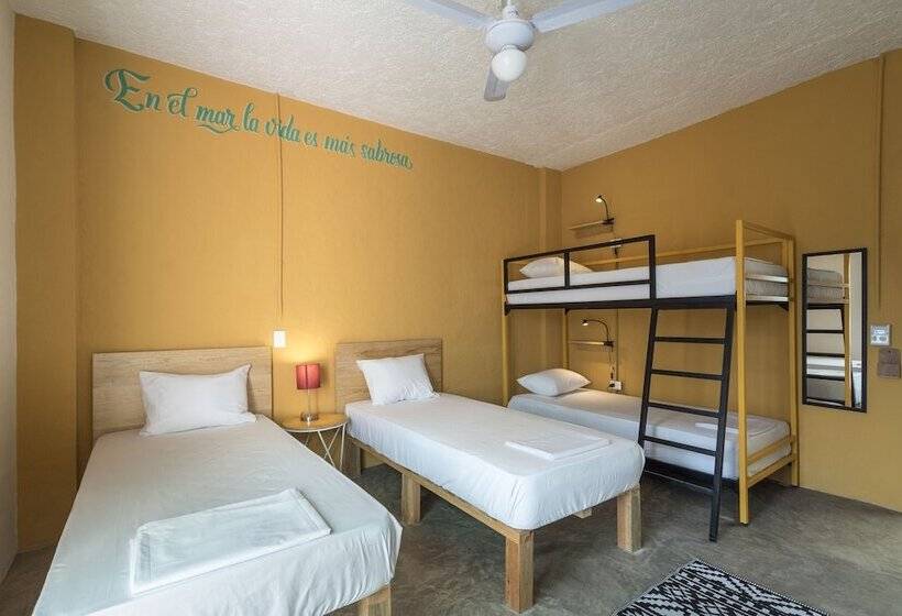 מיטה בחדר משותף, Selina Cancun Downtown