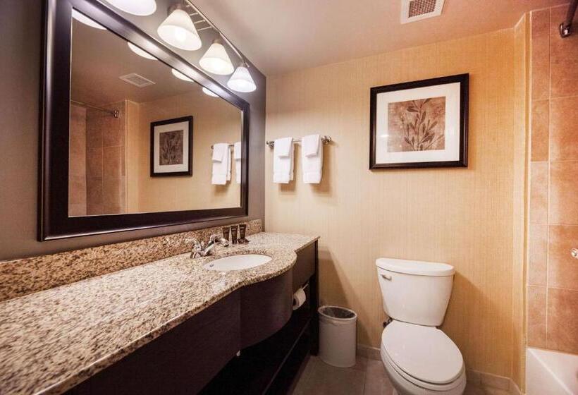 Номер Deluxe Кровать Кинг, Wingate By Wyndham State Arena Raleigh/cary