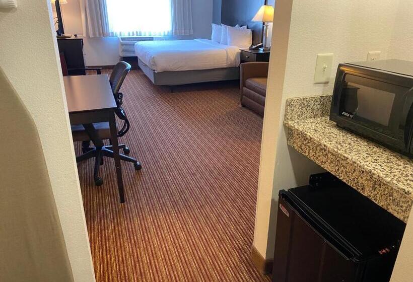 Номер Стандарт Кровать Кинг Адаптированный для Инвалидов, Wingate By Wyndham State Arena Raleigh/cary