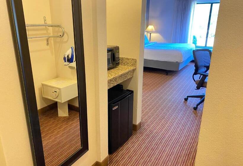 Номер Стандарт Кровать Кинг Адаптированный для Инвалидов, Wingate By Wyndham State Arena Raleigh/cary