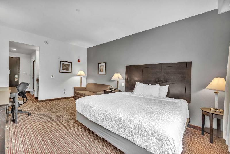 Стандартный Номер Кровать Кинг, Wingate By Wyndham State Arena Raleigh/cary