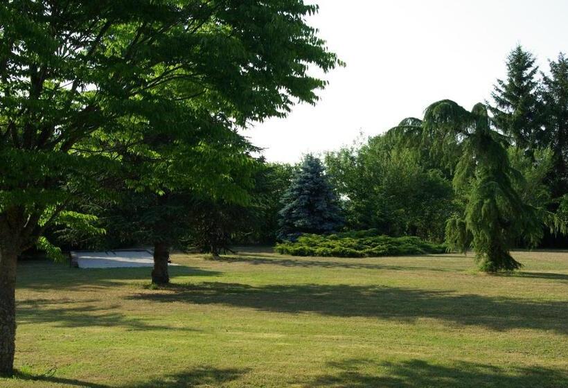 Номер Стандарт, A L Orée Du Parc