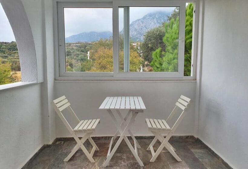 غرفة قياسية سرير كينج, Dilek Agaci Butik Otel