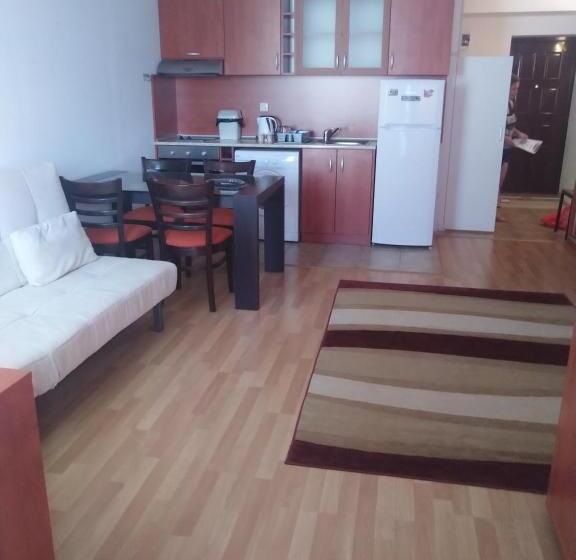 استودیوی استاندارد, Guest House Kami
