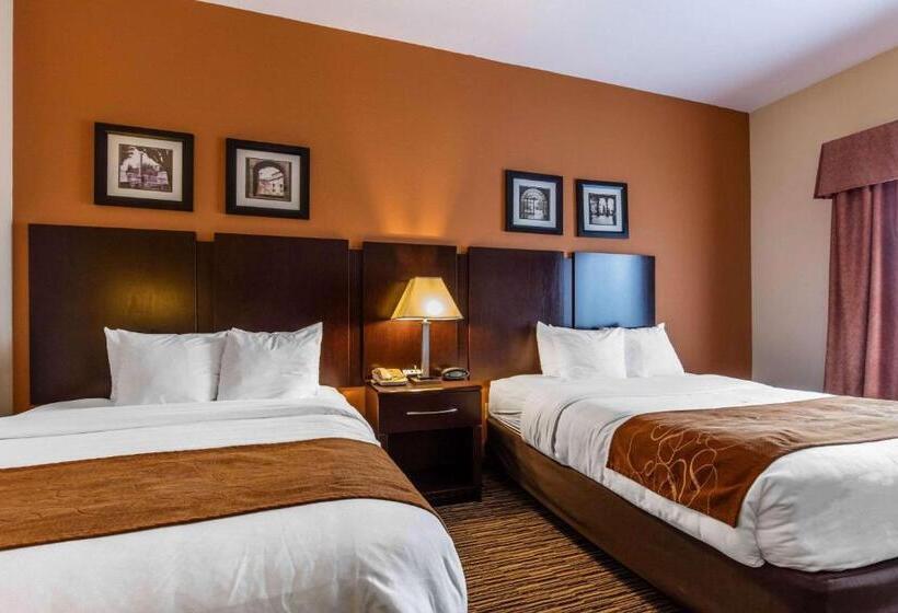 标准间, Comfort Suites