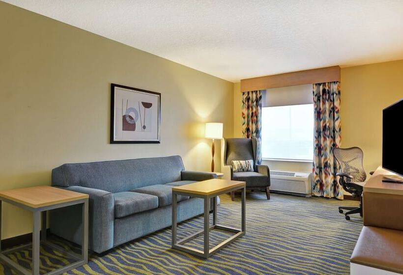 Quarto Estandar, Hilton Garden Inn Lake Buena Vista/orlando