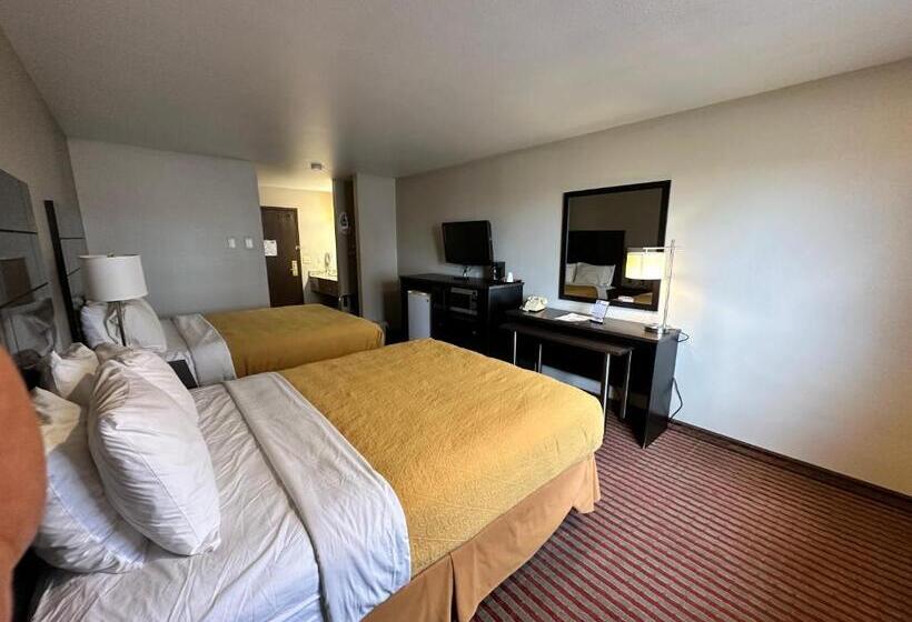 标准间, Rodeway Inn & Suites Madison East