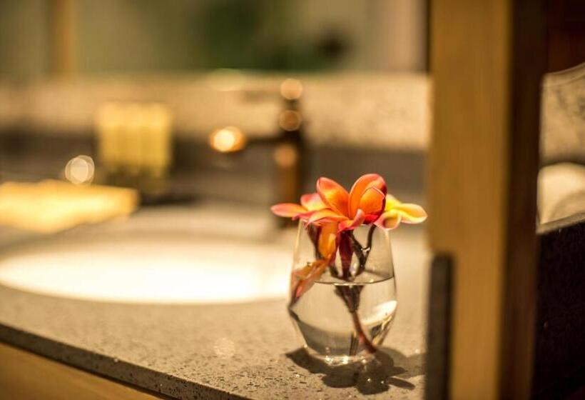 اتاق استاندارد با تخت بزرگ, Tien Terrace