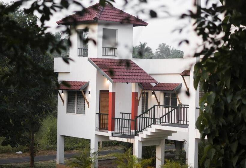 Люкс Повышенной Комфортности, Rockdale Resort