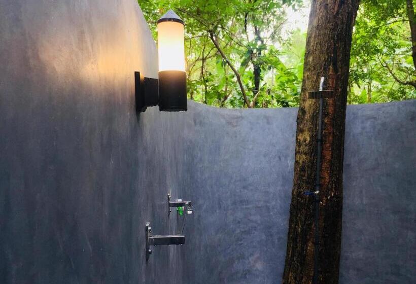 اتاق لوکس, Birds Paradise Inn