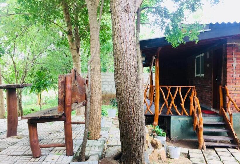 اتاق لوکس خانوادگی, Birds Paradise Inn