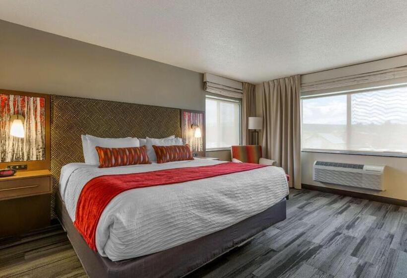 스탠다드 룸 킹사이즈 침대, Best Western Plus Mccall Lodge And Suites