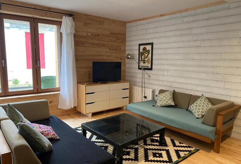 شقة ديلوكس غرفة واحدة, Ecolodge Appartements 2 Pièces Cosy Gare