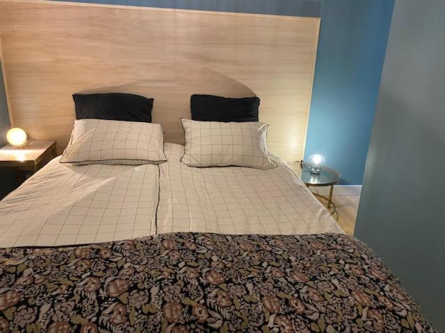 شقة ديلوكس غرفة واحدة, Ecolodge Appartements 2 Pièces Cosy Gare