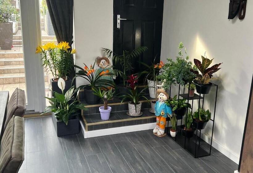 스탠다드 룸 킹사이즈 침대, B&b Prachtig Allemachtig