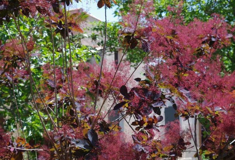 패밀리 룸 가든 전망, Les Chambres D Hôtes De Valensole Au Pays Des Lavandes Et Proche Des Gorges Du Verdon