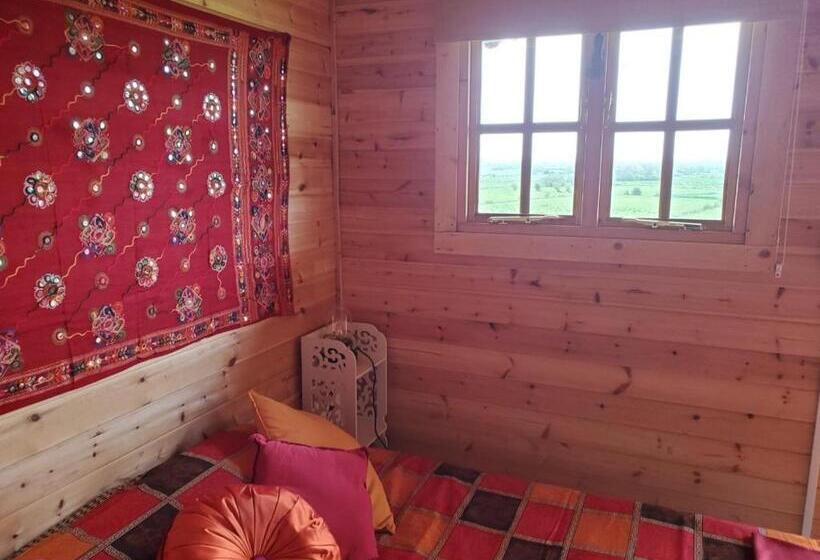 Номер Стандарт Вид на Сад, Healing Waters Sanctuary For Exclusive Private Hire And Self Catering Board, Vegetarian, Alcohol & W