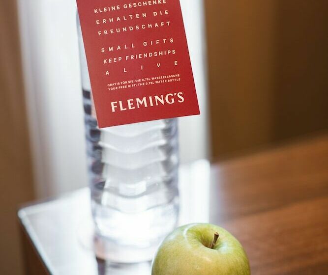 高级大房间, Flemings Selection Hotel Wien City
