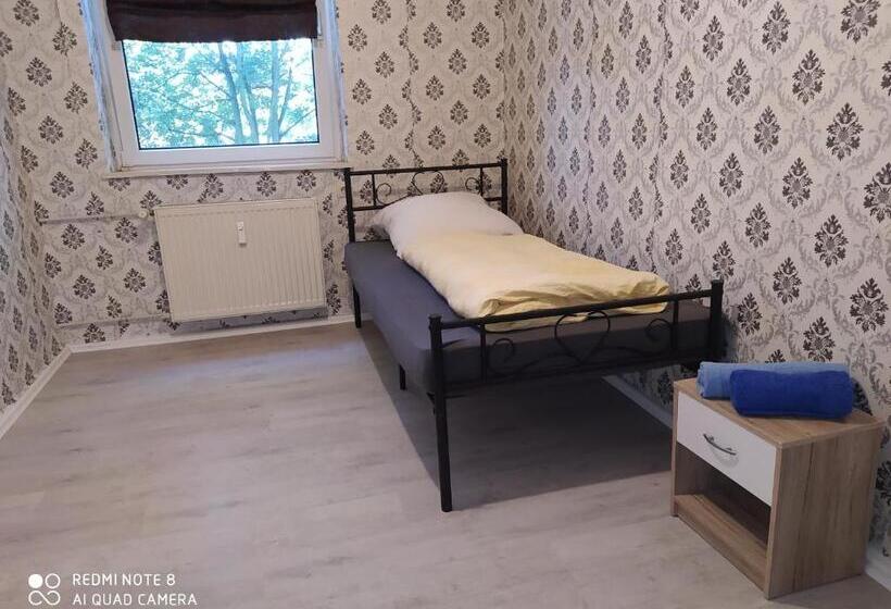 Quarto Estandar Individual, Misha,s