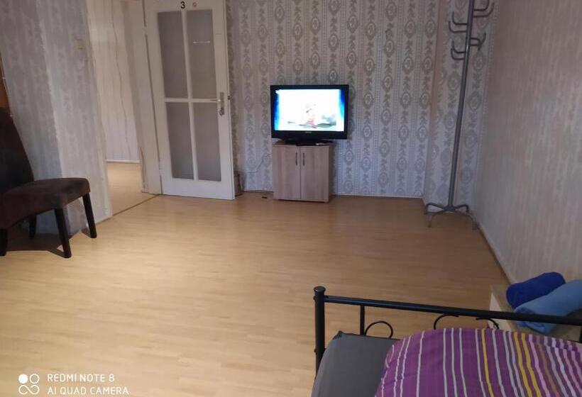 Quarto Estandar, Misha,s