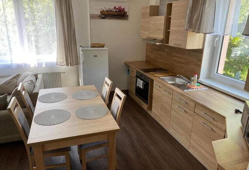 Апартаменты Deluxe 1 Спальня, Apartmány Krupka