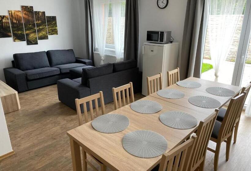 Апартаменты Дюплекс 1 Спальня, Apartmány Krupka
