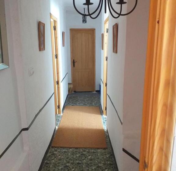 Quarto Economy, Casa Alice Salar
