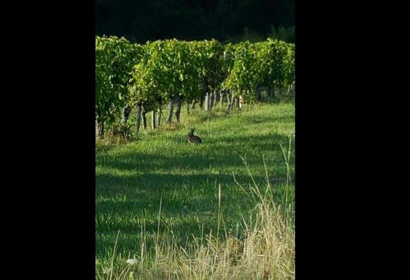 Номер Стандарт, Chambre Saint Emilion   Le Clos D Antan