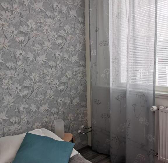 Номер Стандарт Совместная Ванная, Savonlinna Rentals