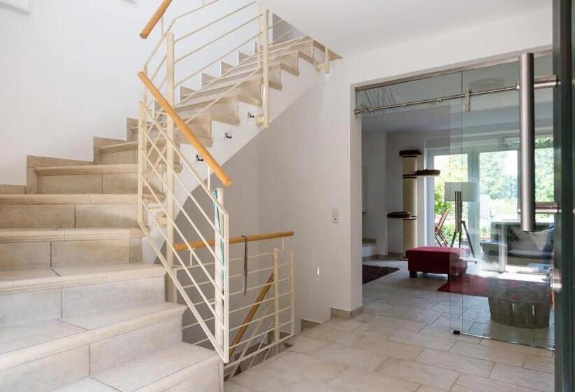 Дом 4 Спальни, Schönste Lage Am Rhein In Unmittelbarer Stadtnähe, B & B