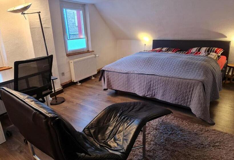 Дом 2 Спальни, Schönste Lage Am Rhein In Unmittelbarer Stadtnähe, B & B