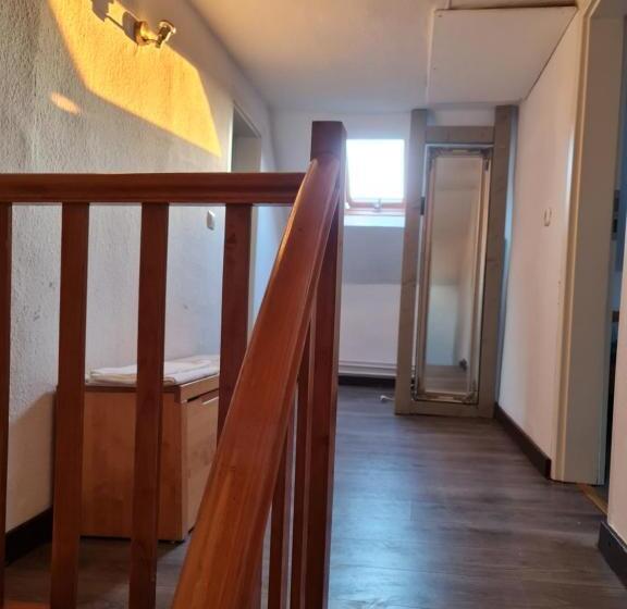 Дом 2 Спальни, Schönste Lage Am Rhein In Unmittelbarer Stadtnähe, B & B