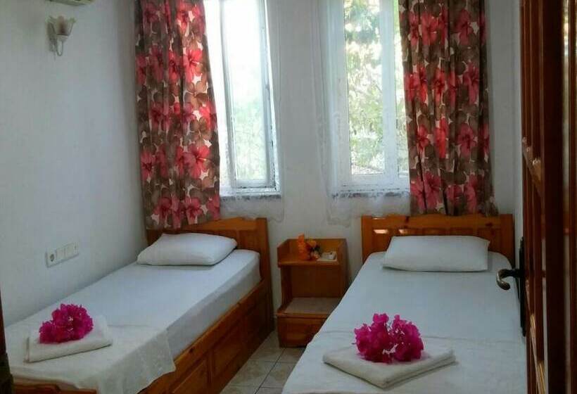 Апартаменты 1 Спальня, Tavilogullari Villa Apart