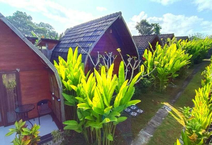 بانگلوی استاندارد, Morning Bali Bungalow