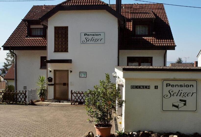 Номер Стандарт, Pension Seliger