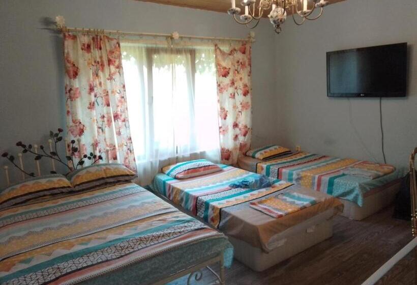 اتاق لوکس, Guest House Amazonia