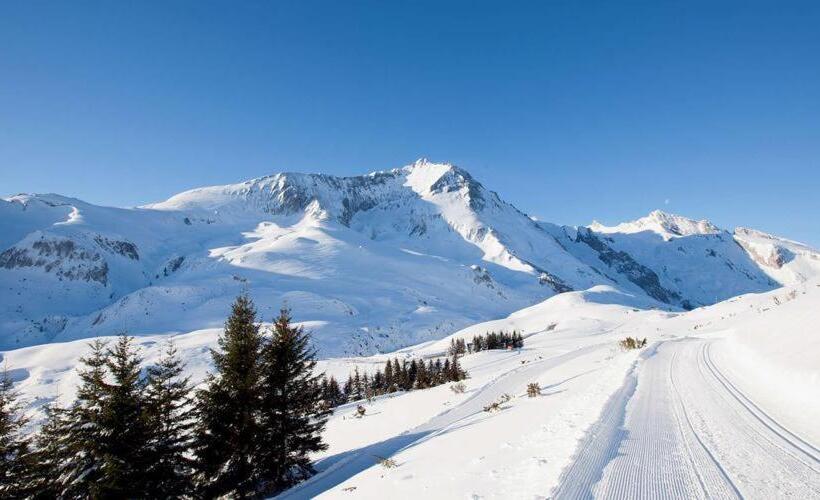 آپارتمان 1 خوابه, Chez Lolette