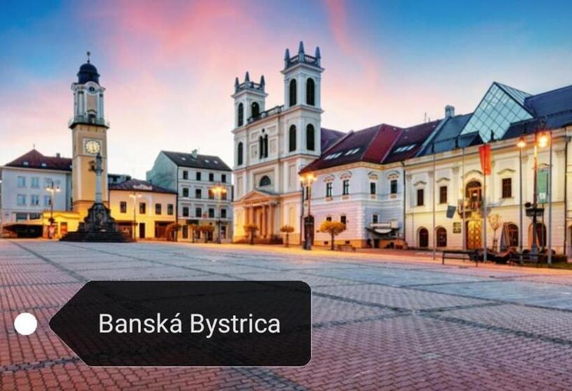 带1个卧室的高级公寓, Apartmány Podlavice